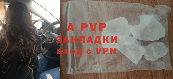 ПСИЛОЦИБИНОВЫЕ ГРИБЫ Белоозёрский