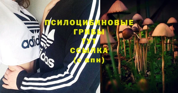 круглые Белокуриха
