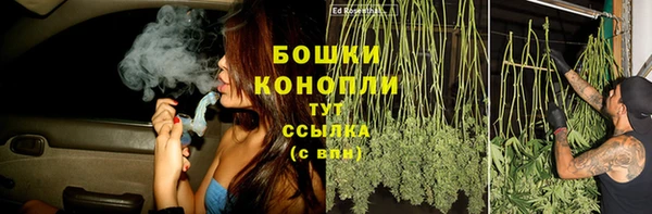 ПСИЛОЦИБИНОВЫЕ ГРИБЫ Белоозёрский