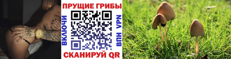 Псилоцибиновые грибы MAGIC MUSHROOMS Красновишерск