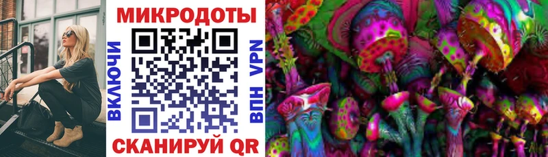 Купить где  Красновишерск  Галлюциногенные грибы мицелий 